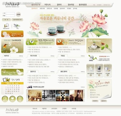 韓國ASA俱樂部網站PSD模版 打造動感活力的專業網頁與網站設計